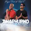 Major Point 2 - Amaphupho (feat. Rich T) - Single